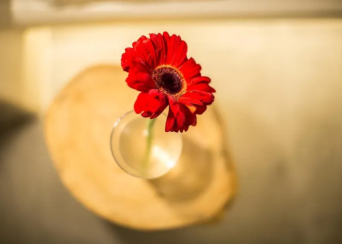 Ethereum Luxury Cave Vila *